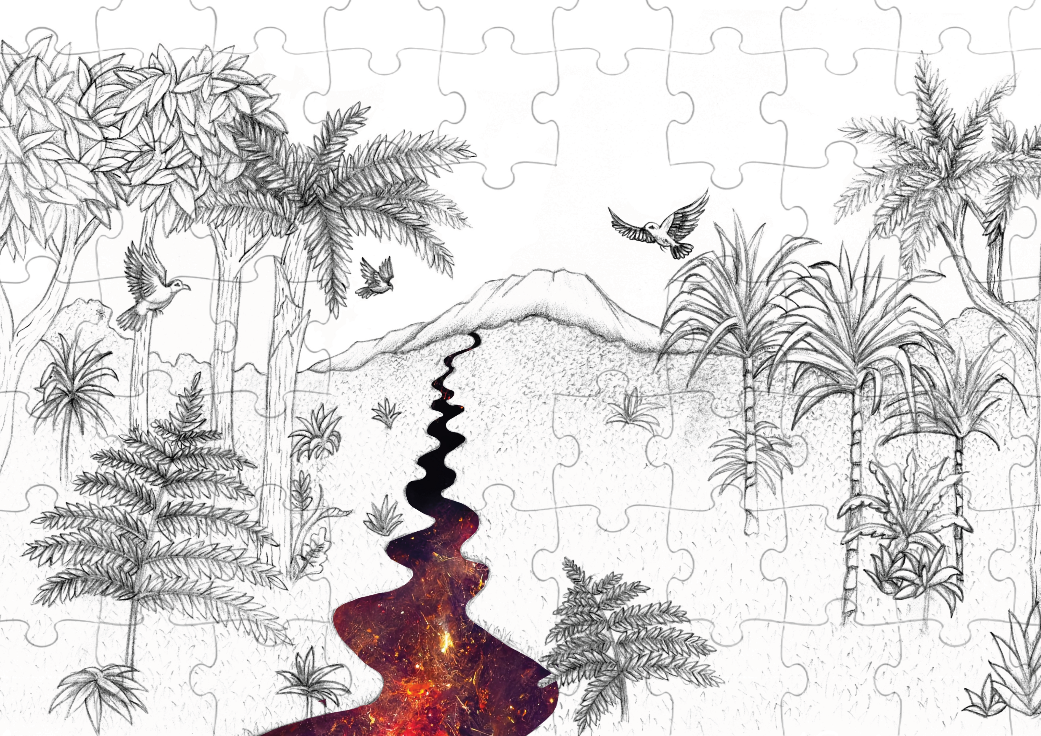 ILLUSTRATION "Malé"